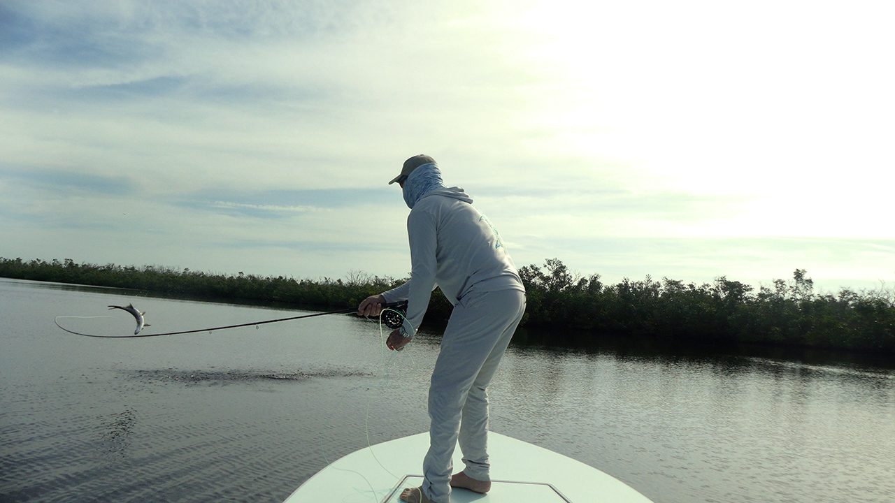 Tarpon fly fishing guide Charlotte Harbor